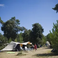 huttopia-oleron-les-pins-st-trojan-les-bains-charente-maritime-o0tck