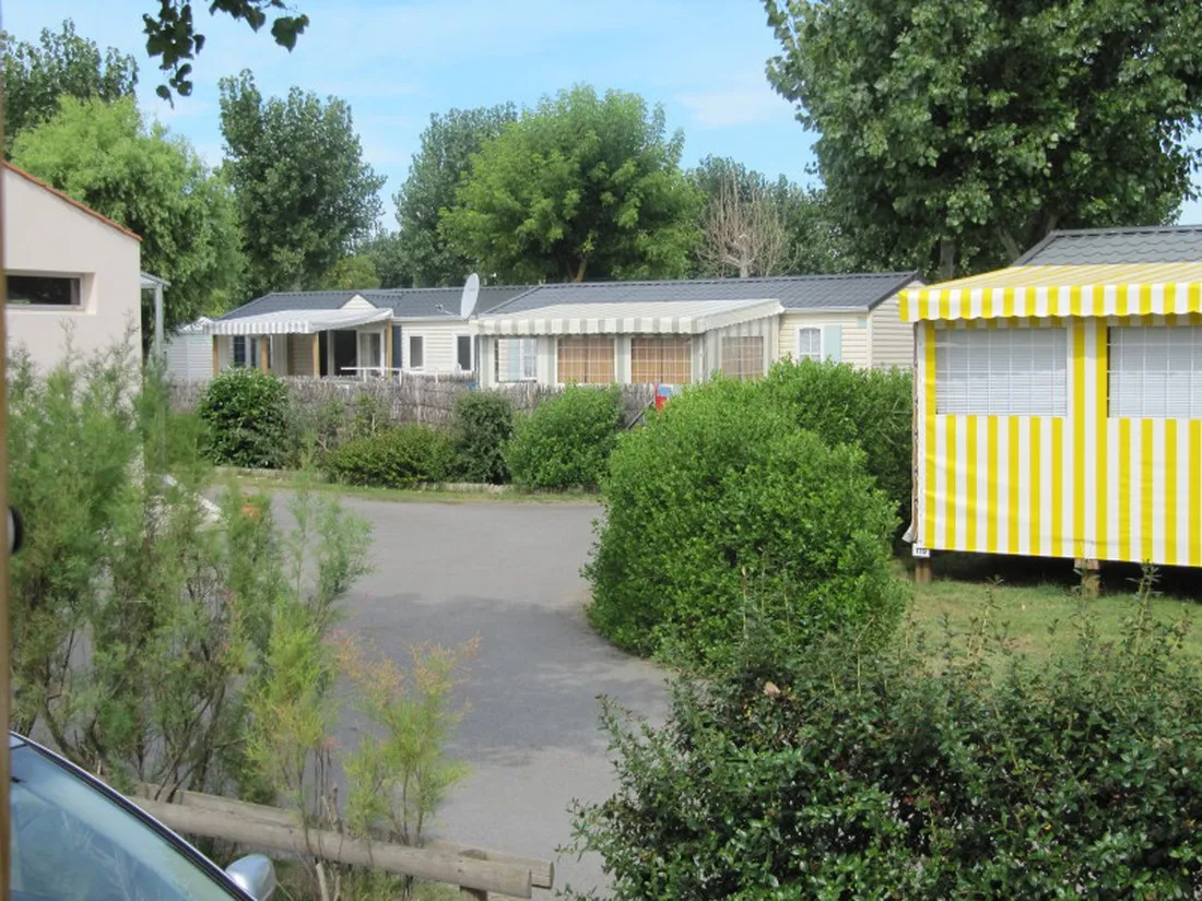 la-ningle-st-hilaire-de-riez-vendee-7gmzb