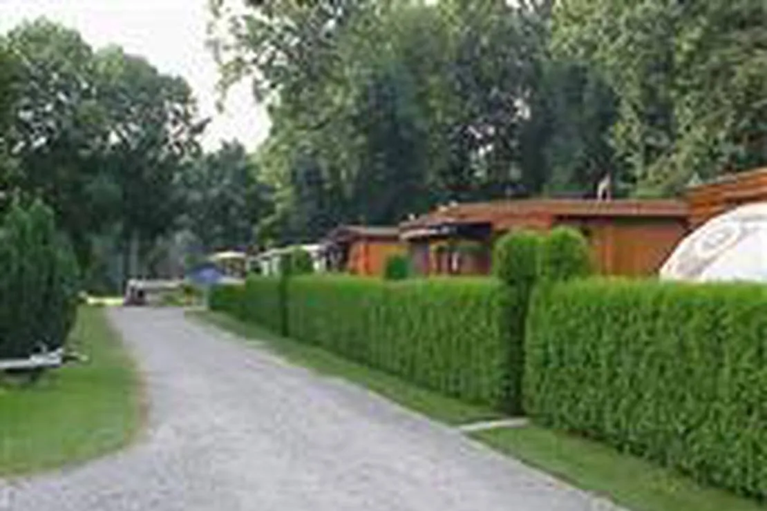 camping-au-grand-bois-chessel-4e9gp