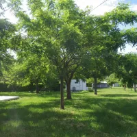 Camping aire naturelle de Bertholat Pierre