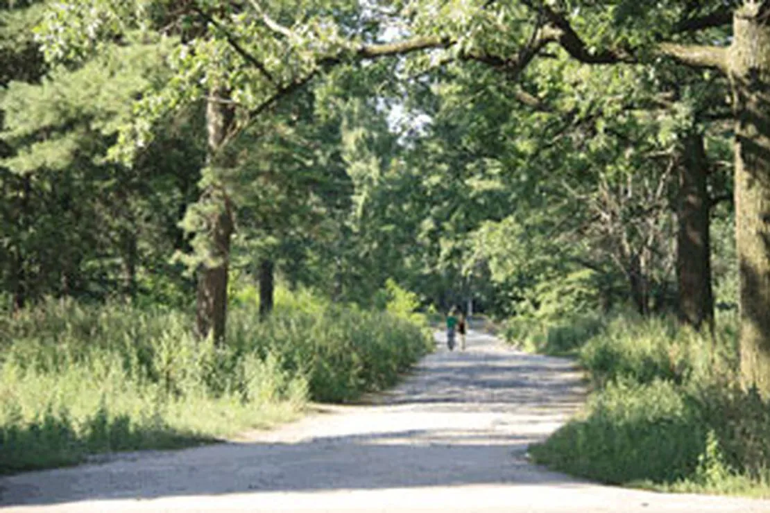 camping-korona-chubynske-fx05q