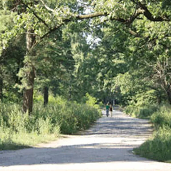 camping-korona-chubynske-fx05q