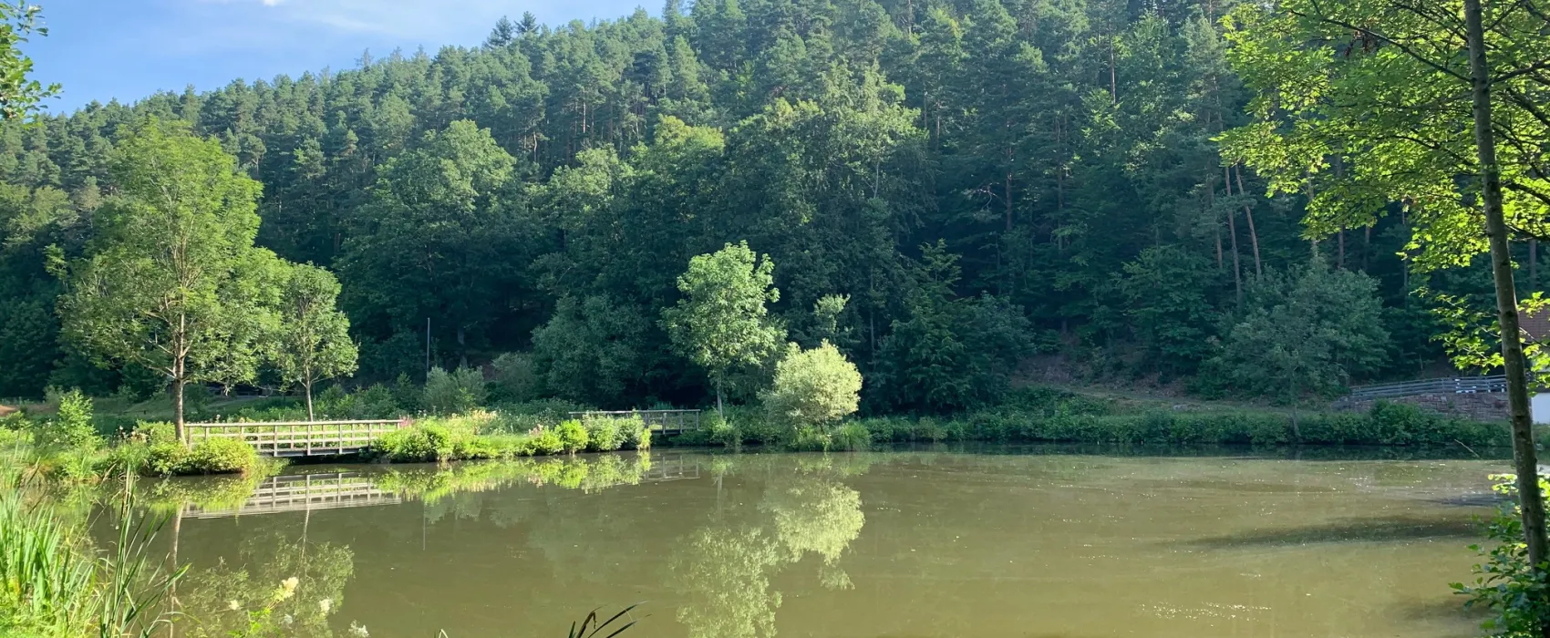 Camping Waldberg