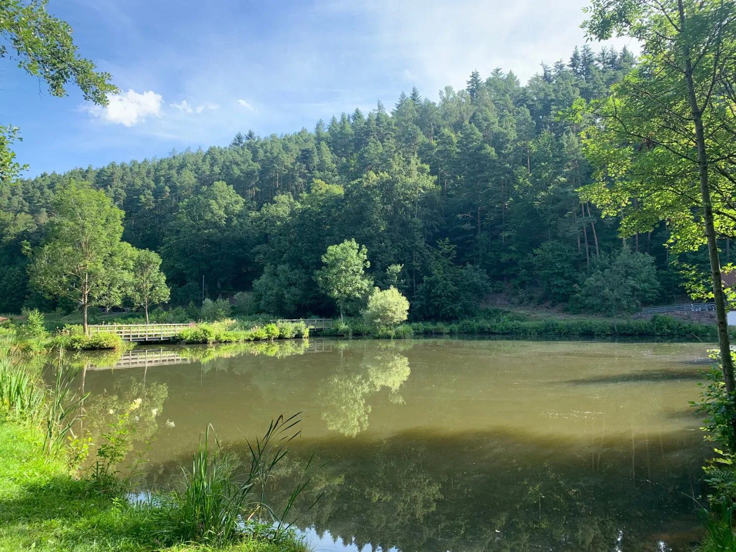 camping-waldberg-sandberg-ot-waldberg-wx7wk