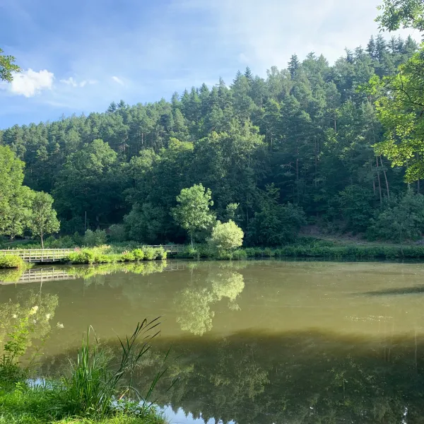 camping-waldberg-sandberg-ot-waldberg-wx7wk
