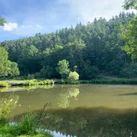 camping-waldberg-sandberg-ot-waldberg-wx7wk