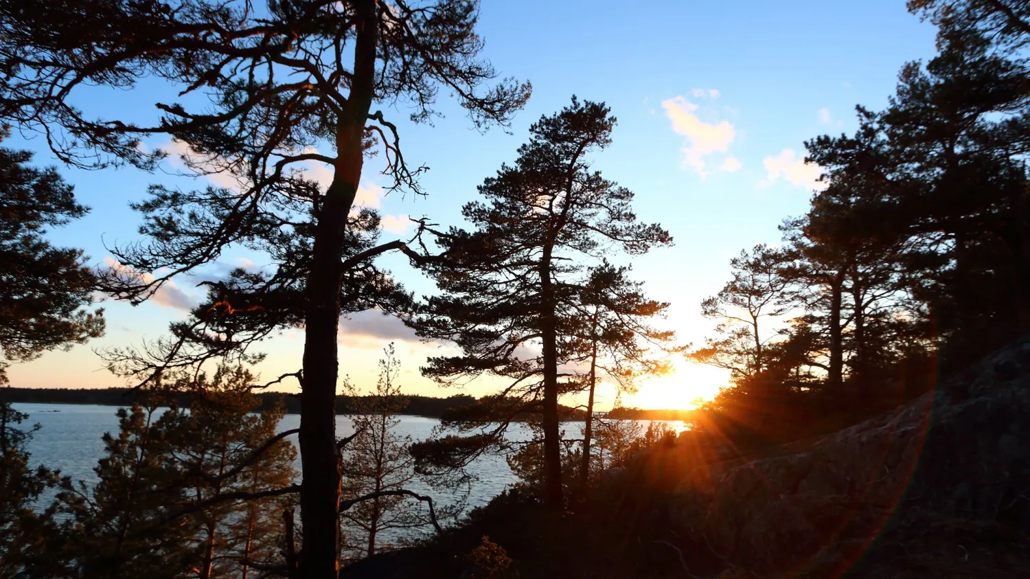 sebbholmen-ecocamp-rosala-qzmsc