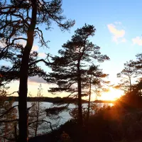 sebbholmen-ecocamp-rosala-qzmsc