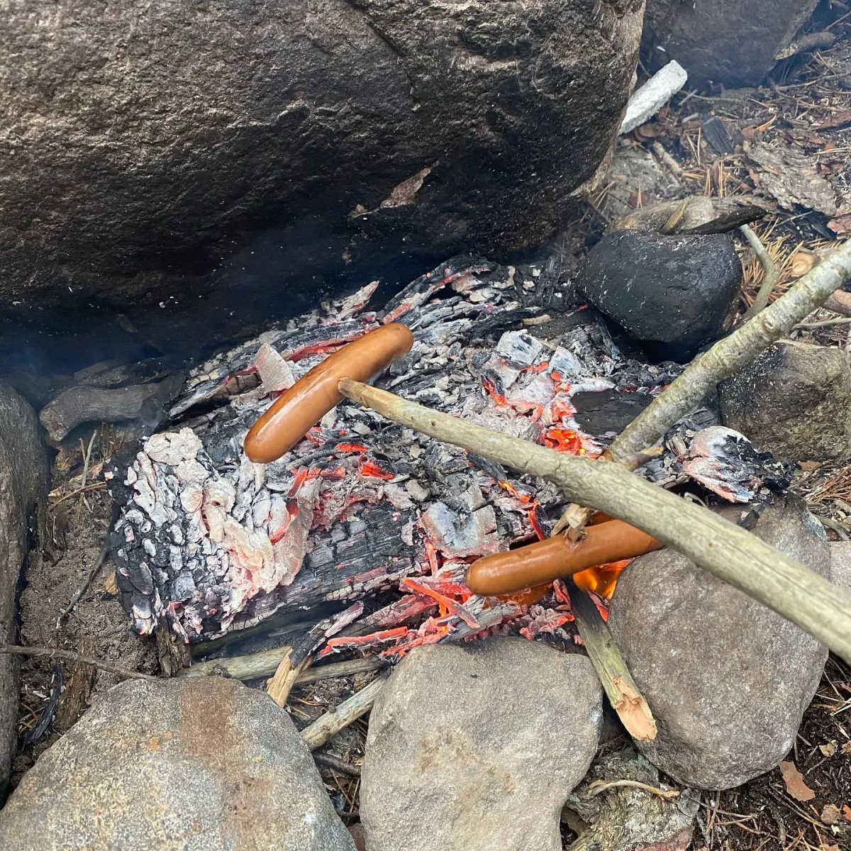 sebbholmen-ecocamp-rosala-rpltx