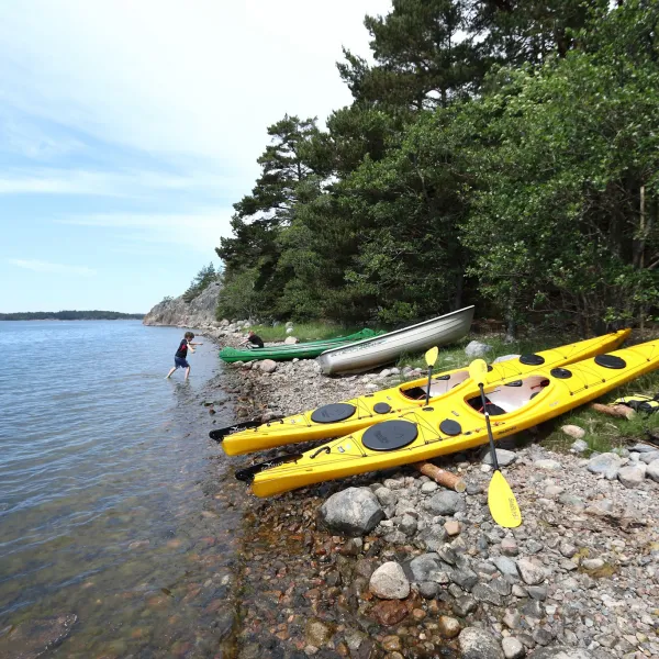 sebbholmen-ecocamp-rosala-y3sek