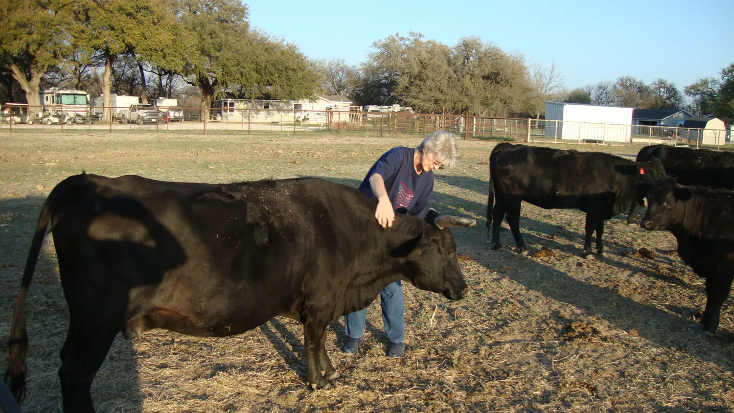 alamo-river-rv-ranch-resort-von-ormy-0o7la