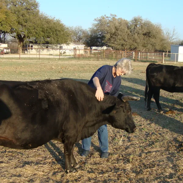 alamo-river-rv-ranch-resort-von-ormy-0o7la