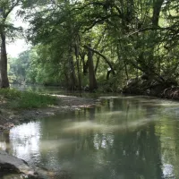 Alamo River RV Ranch Resort