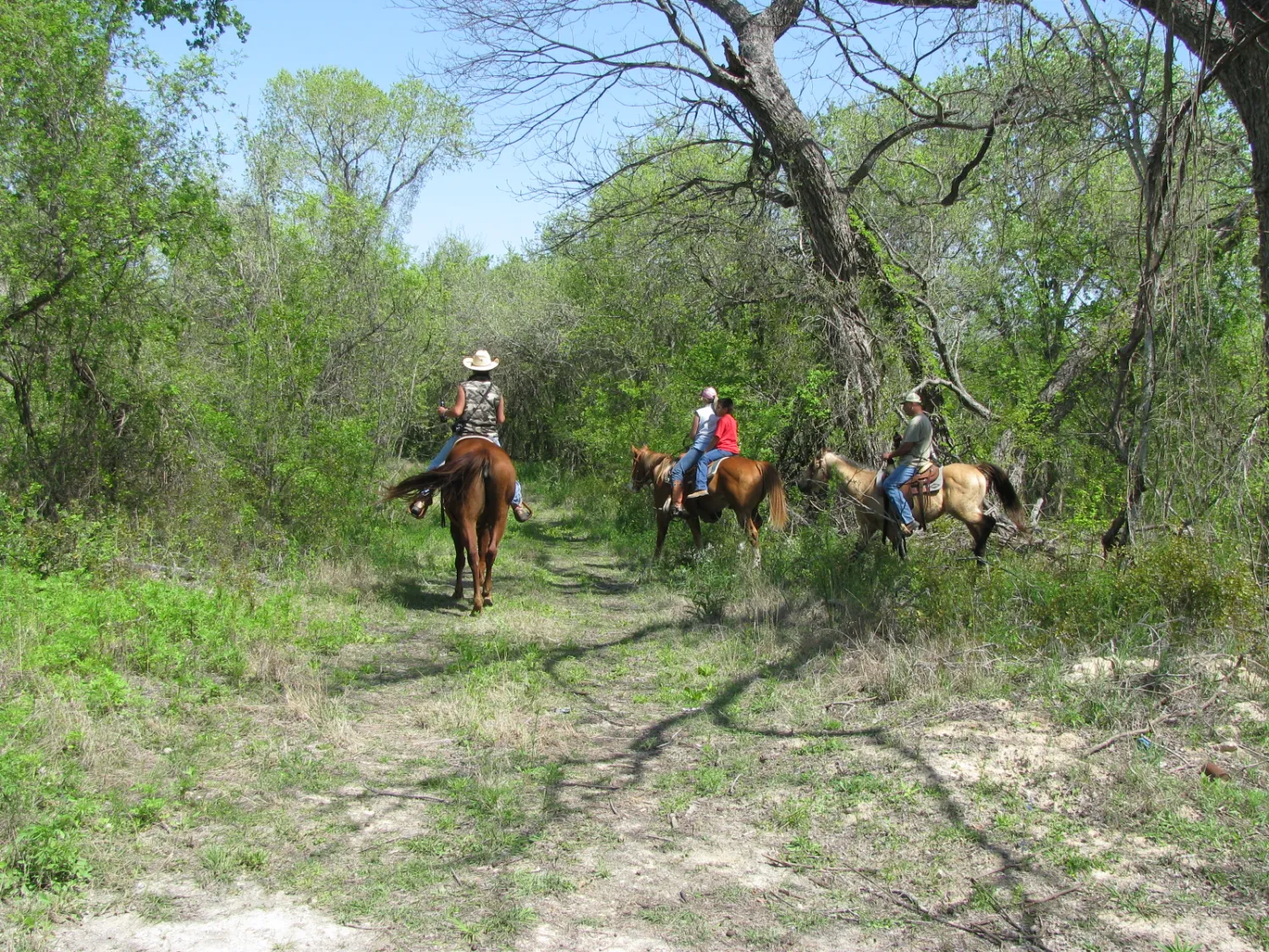 alamo-river-rv-ranch-resort-von-ormy-p7god