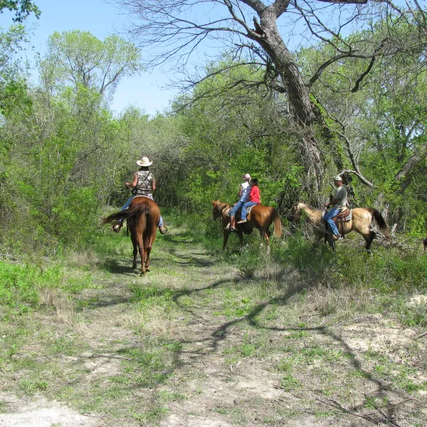 alamo-river-rv-ranch-resort-von-ormy-p7god