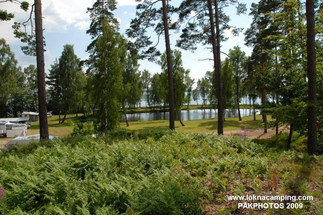 lokna-camping-och-stugby-lidhult-lvhpf