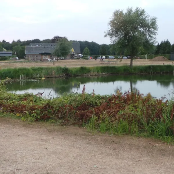 de-grasplas-vorden-wityq