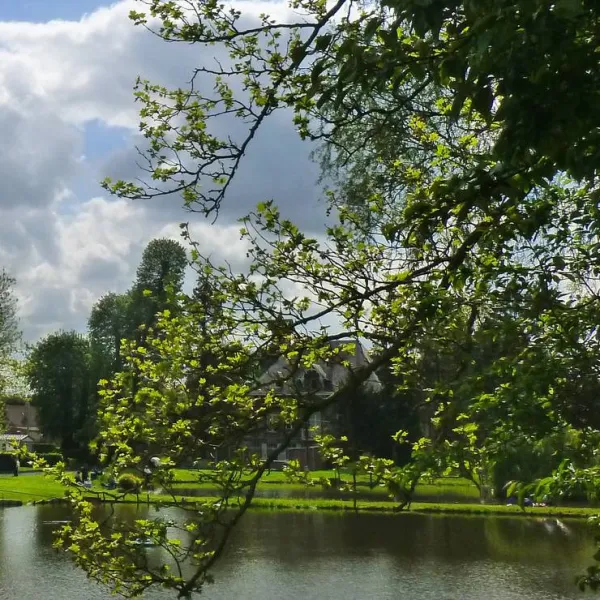 camping-de-roisin-honnelles-roisin-5fwnj