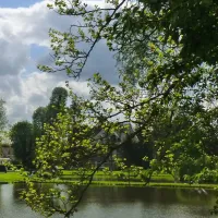camping-de-roisin-honnelles-roisin-5fwnj