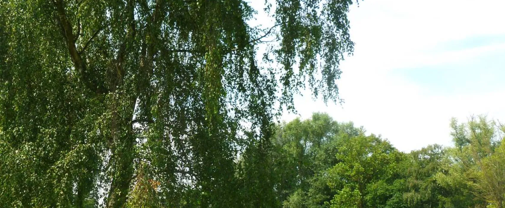 Camping de Roisin