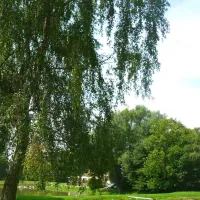 camping-de-roisin-honnelles-roisin-oebjl