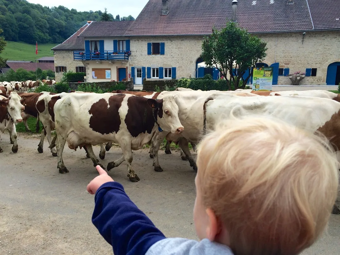 le-git-montigny-sur-lain-jura-oetxp