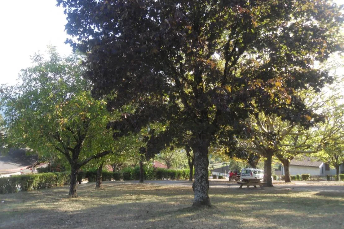 camping-municipal-la-combe-st-vincent-de-mercuze-yemso