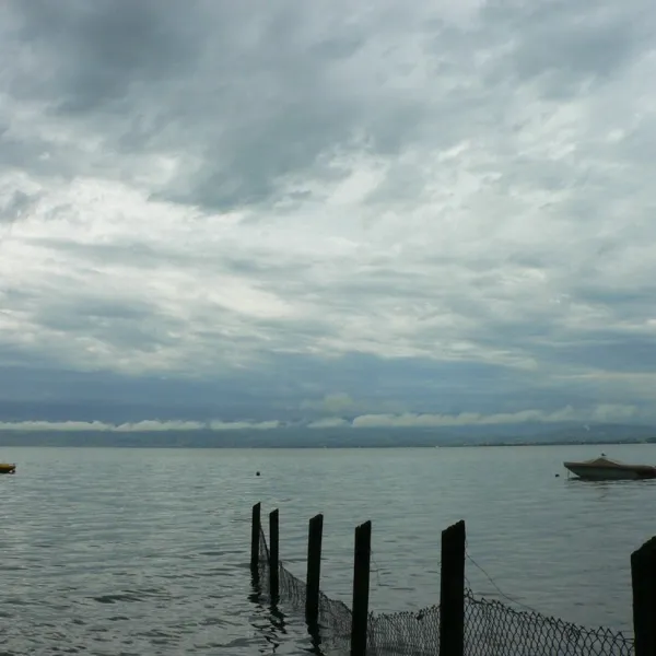 fischbach-friedrichshafen-fipom