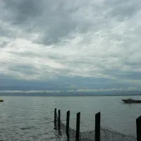 fischbach-friedrichshafen-fipom