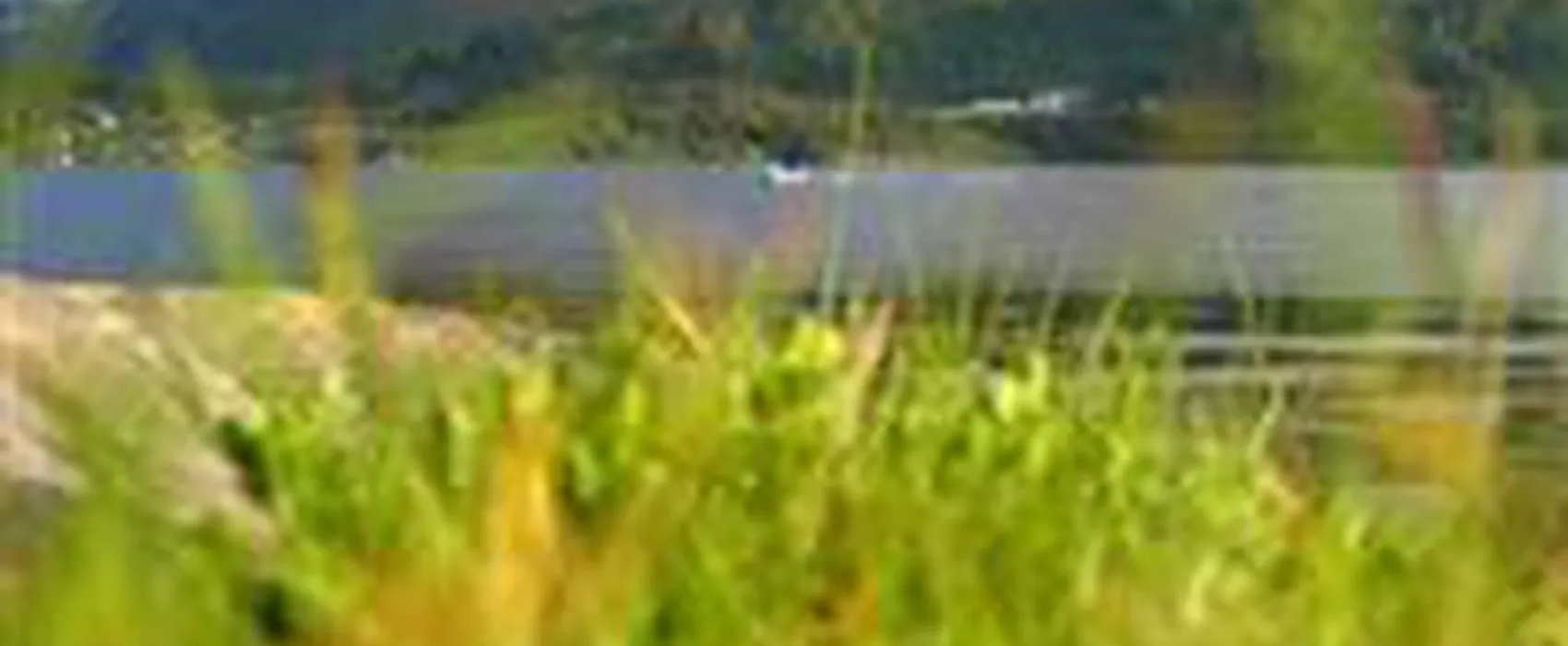 Sjøbakken Camping