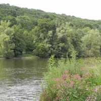 park-wertheim-bettingen-wertheim-am-main-bettingen-ypvkv