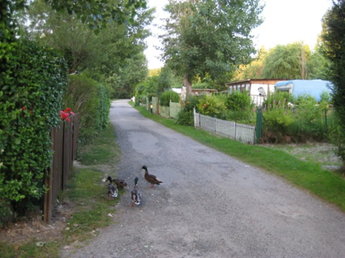 de-la-petite-source-la-plage-aux-champs-st-arnoult-en-yvelines-wvcp9