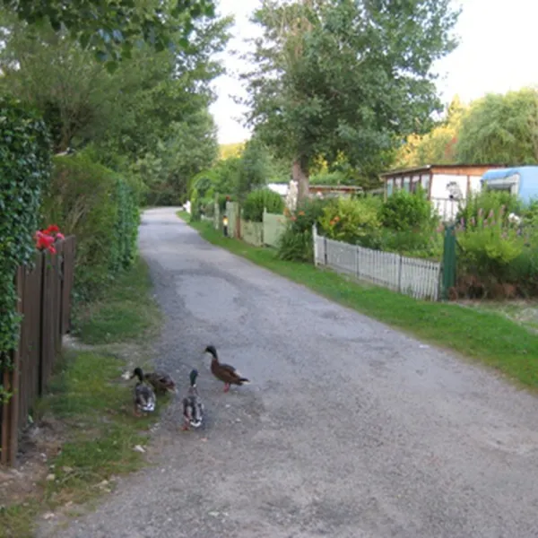 de-la-petite-source-la-plage-aux-champs-st-arnoult-en-yvelines-wvcp9