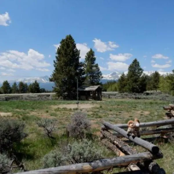 sugar-loafin-rv-campground-cabins-leadville-djapo