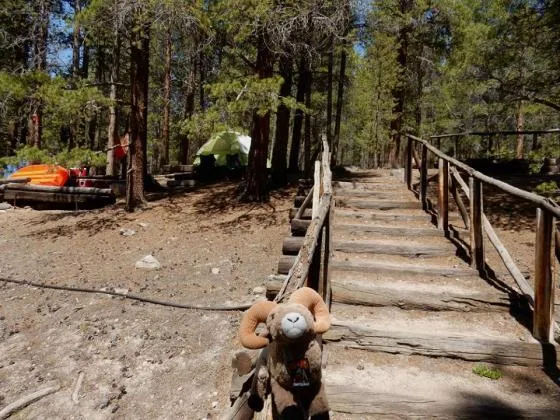 sugar-loafin-rv-campground-cabins-leadville-tmoqw