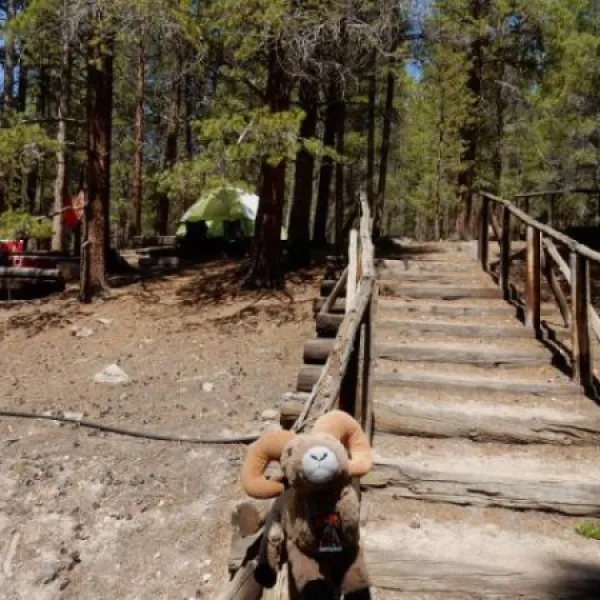 sugar-loafin-rv-campground-cabins-leadville-tmoqw