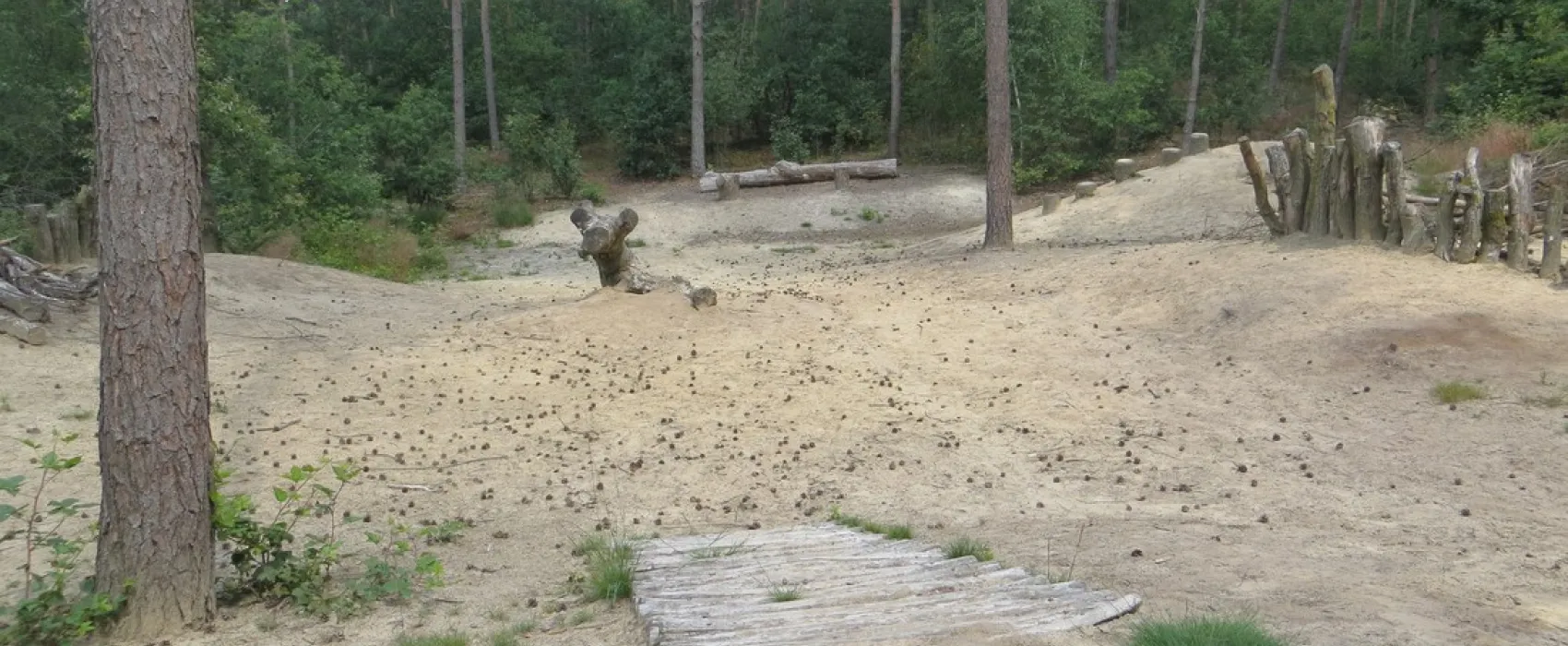 Peel en Bos