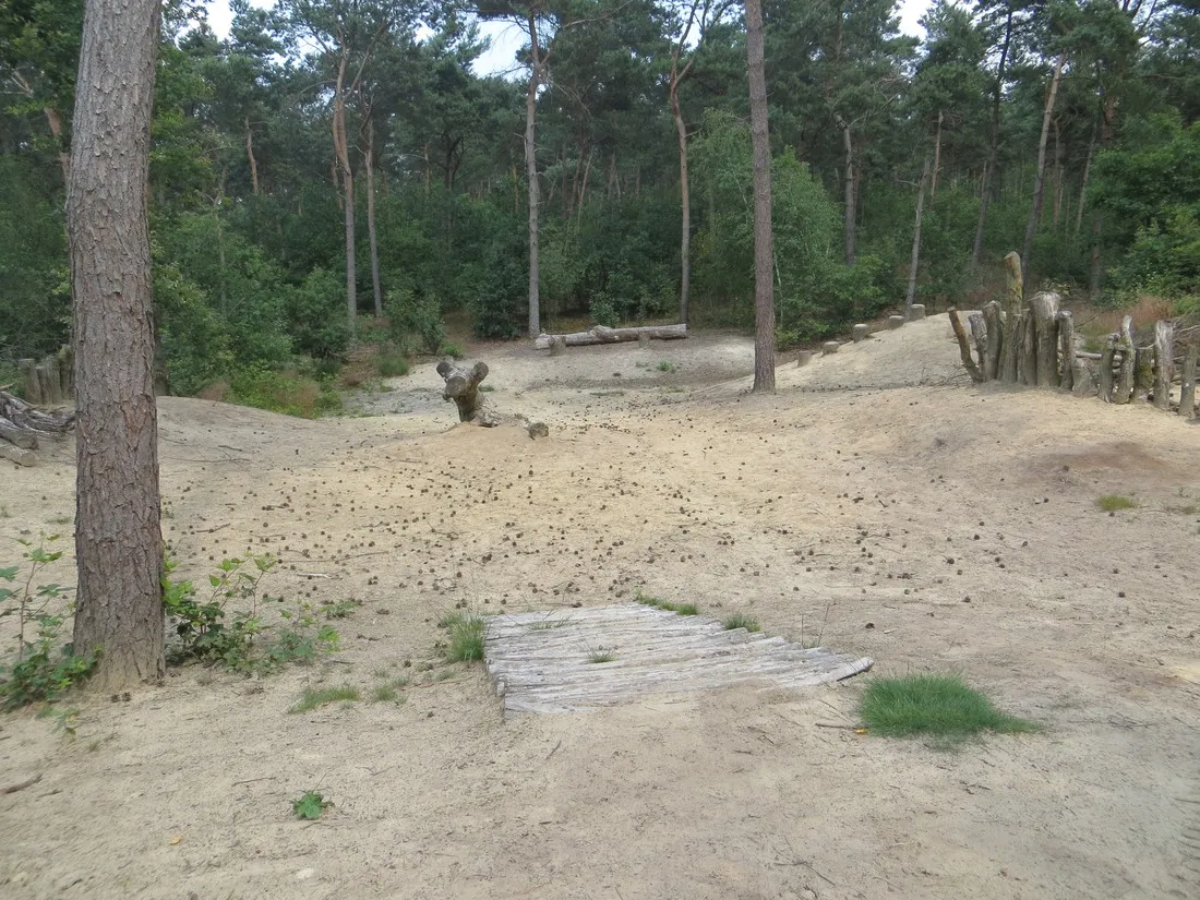 peel-en-bos-neerkant-bucxn