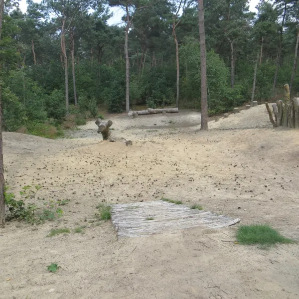 peel-en-bos-neerkant-bucxn