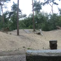 peel-en-bos-neerkant-nnmj3