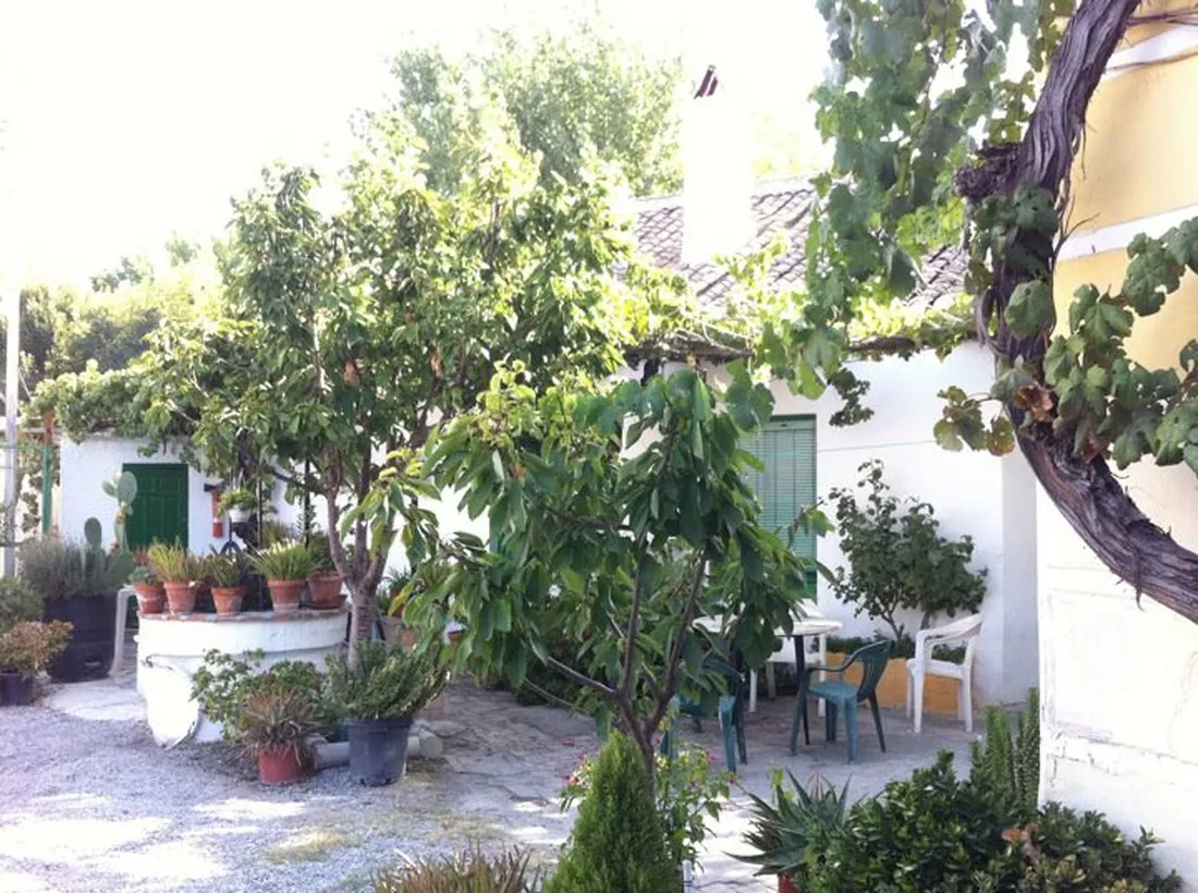 maria-eugenia-granada-vczpd