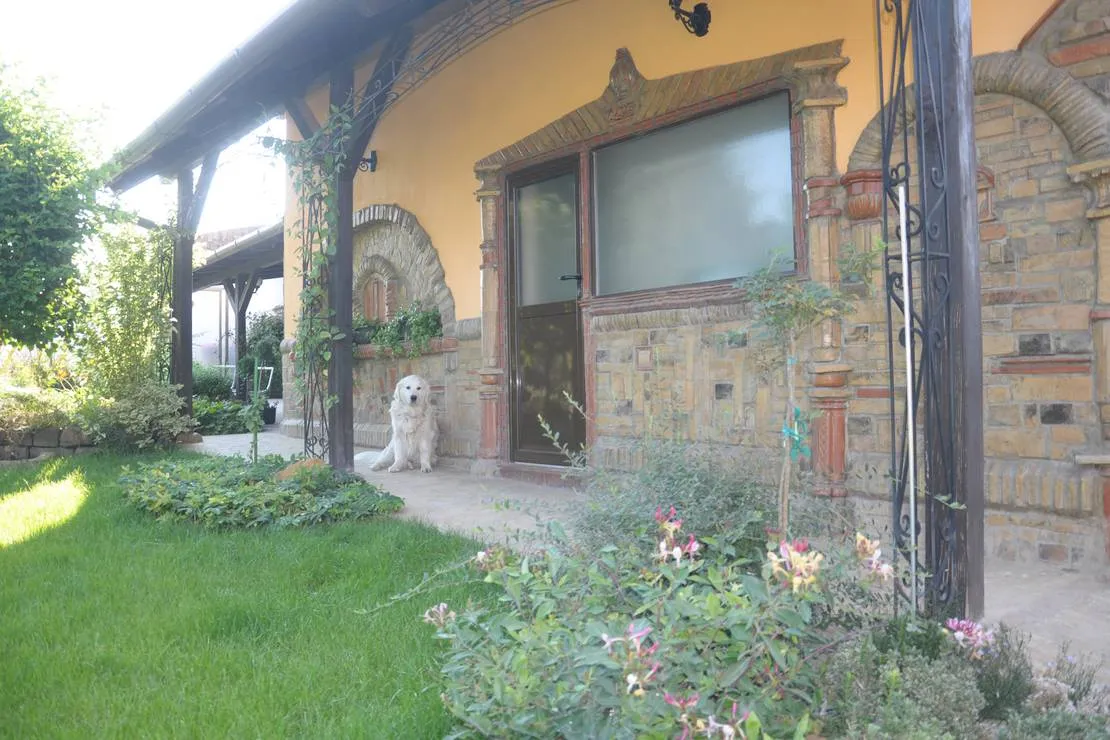 camping-sosul-sombor-dftou