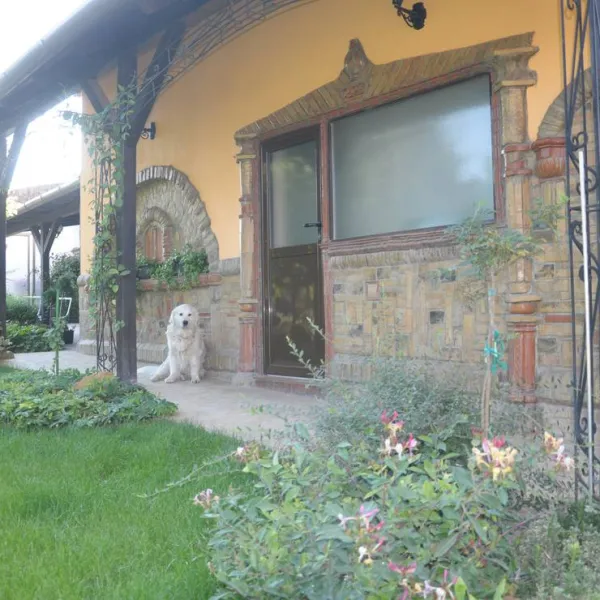 camping-sosul-sombor-dftou