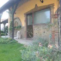 camping-sosul-sombor-dftou