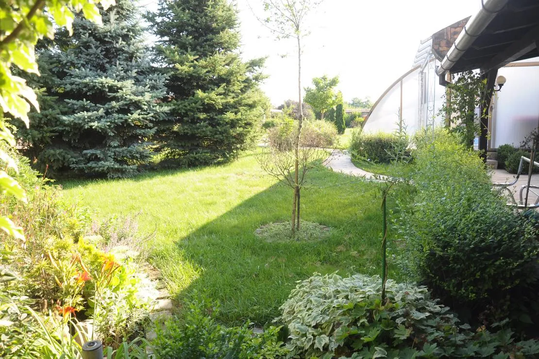 camping-sosul-sombor-ibidv