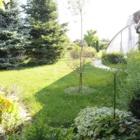 camping-sosul-sombor-ibidv