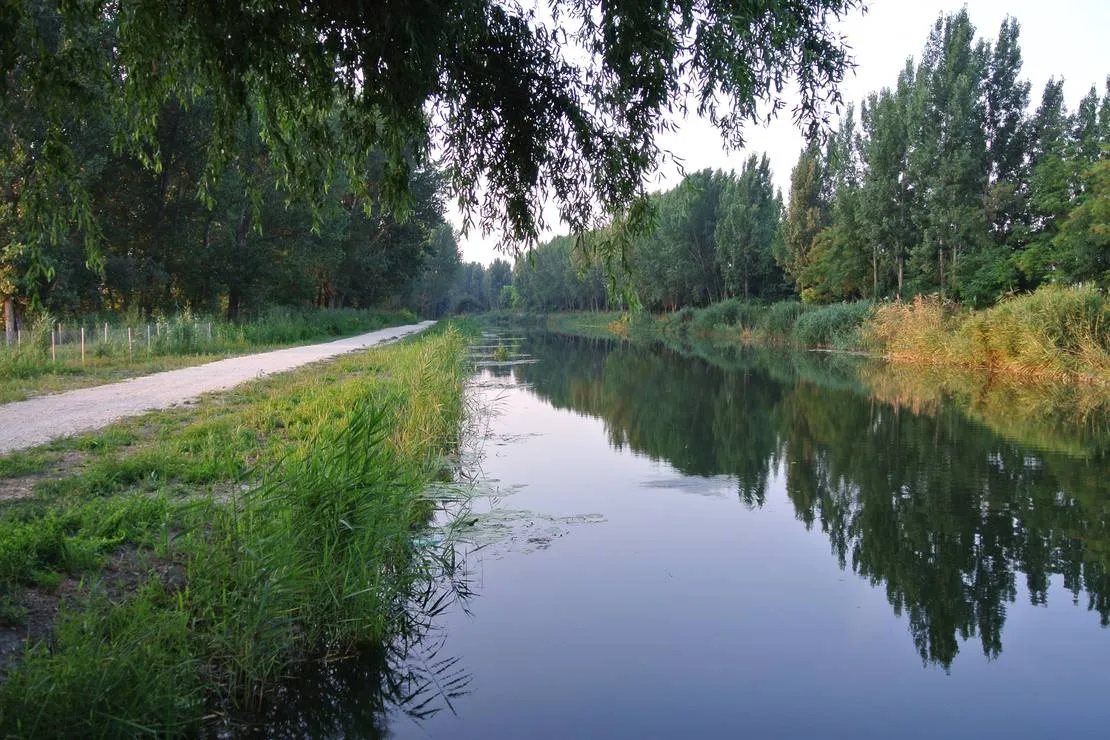 camping-sosul-sombor-t6jdv