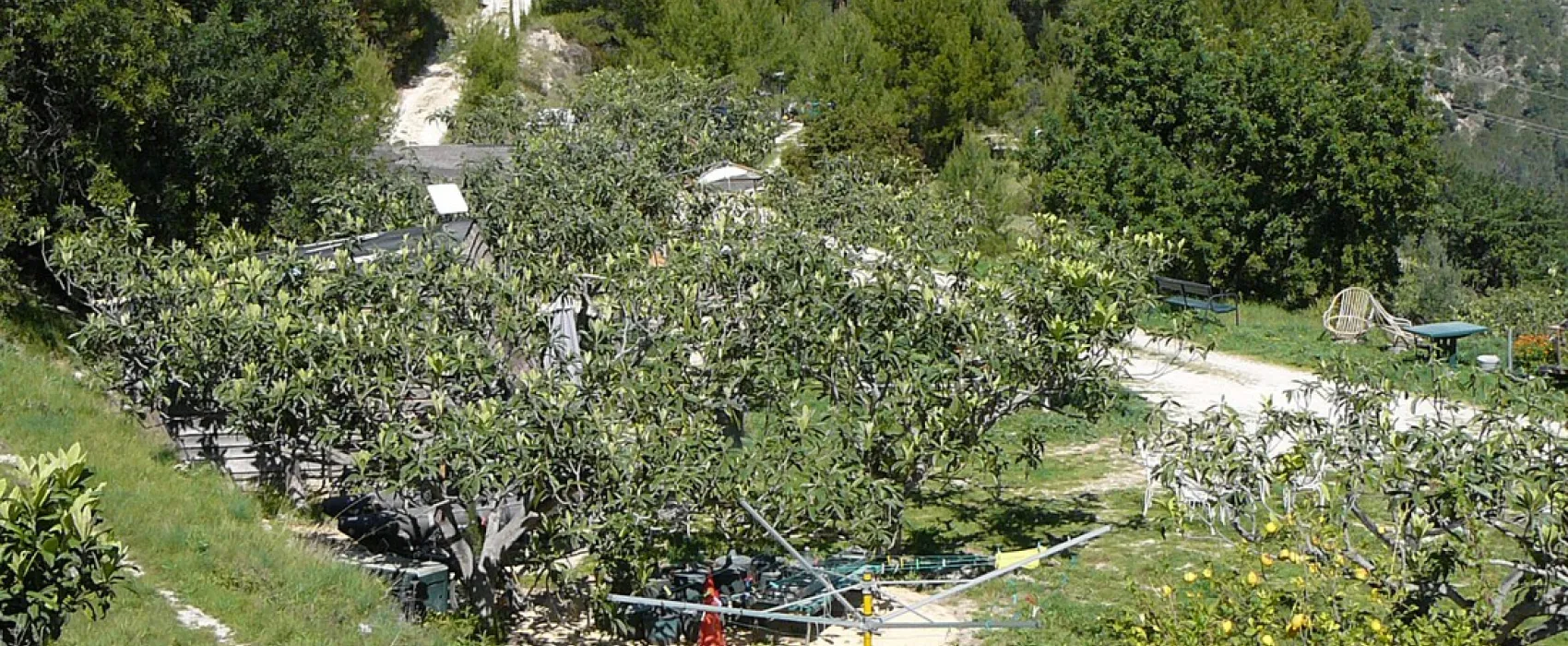 Finca la Higuera