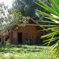 finca-la-higuera-guadelest-ocpyv