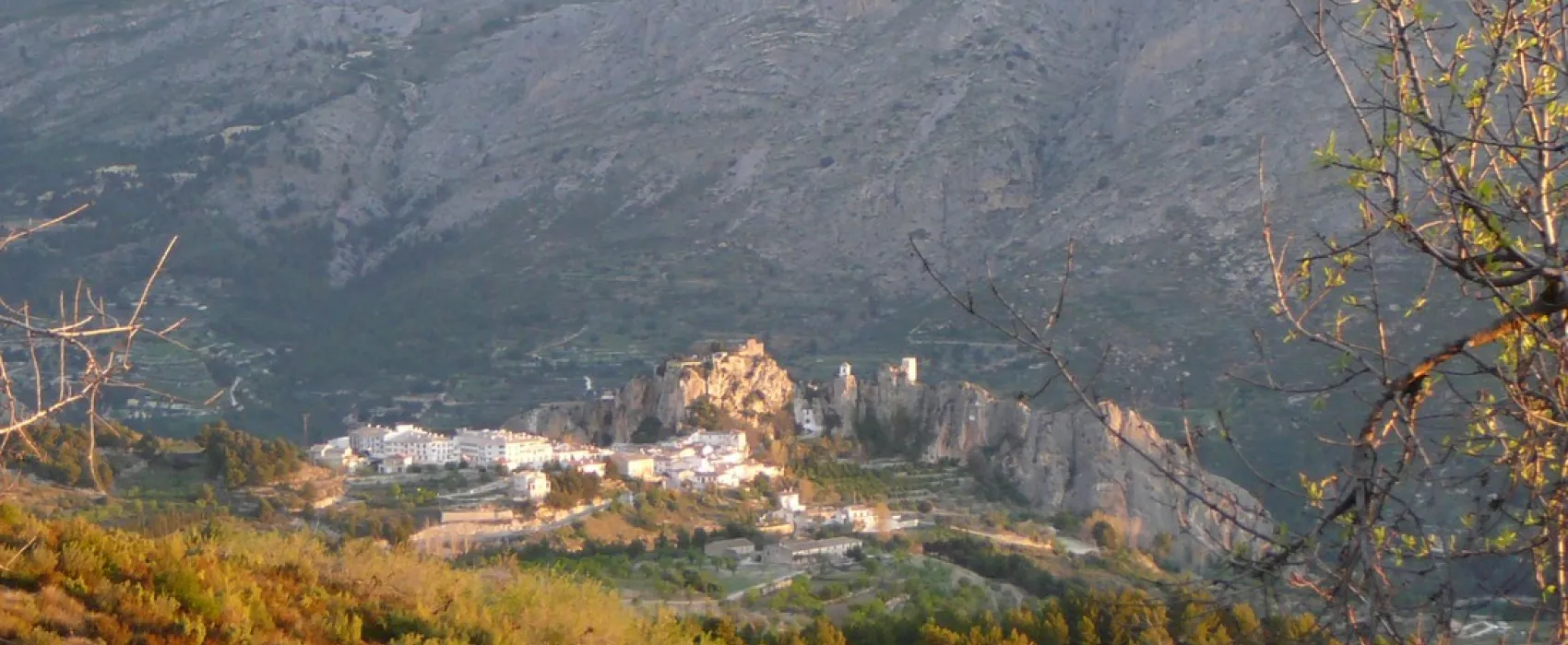 Finca la Higuera